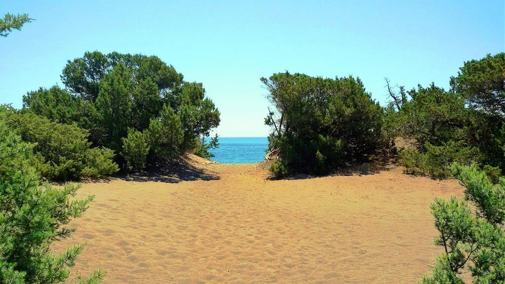 Beachfront Villa Rhodes Seashell Gennadi Exteriér fotografie